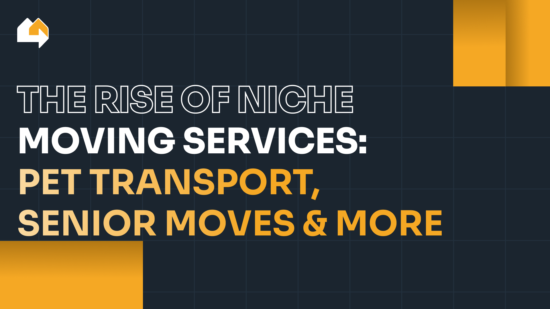 The rise of niche moving services: pet transport, senior moves & more